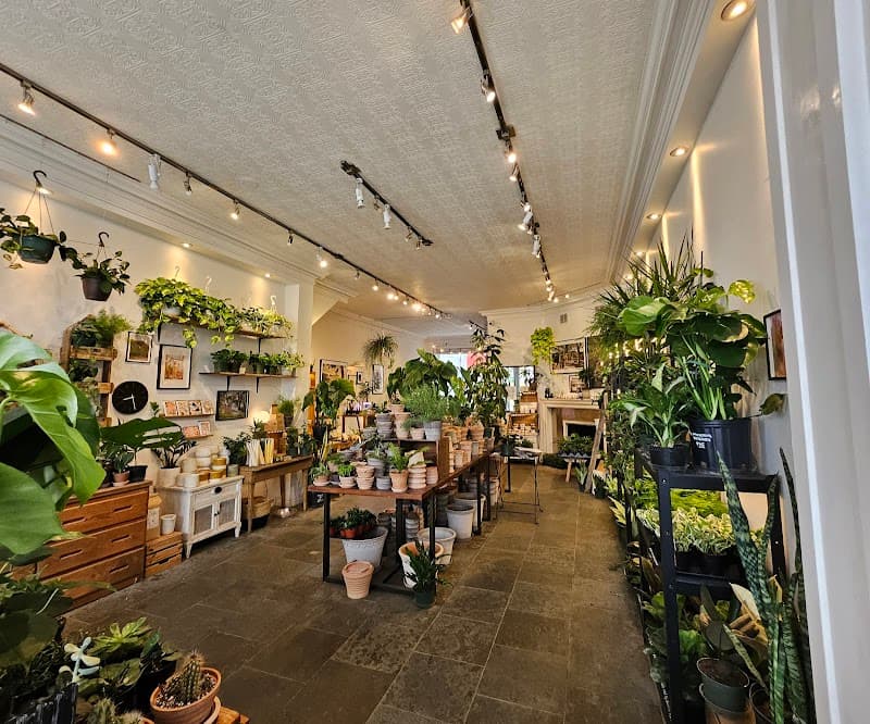 Moss Park Espresso in Toronto, specialty coffee cafe