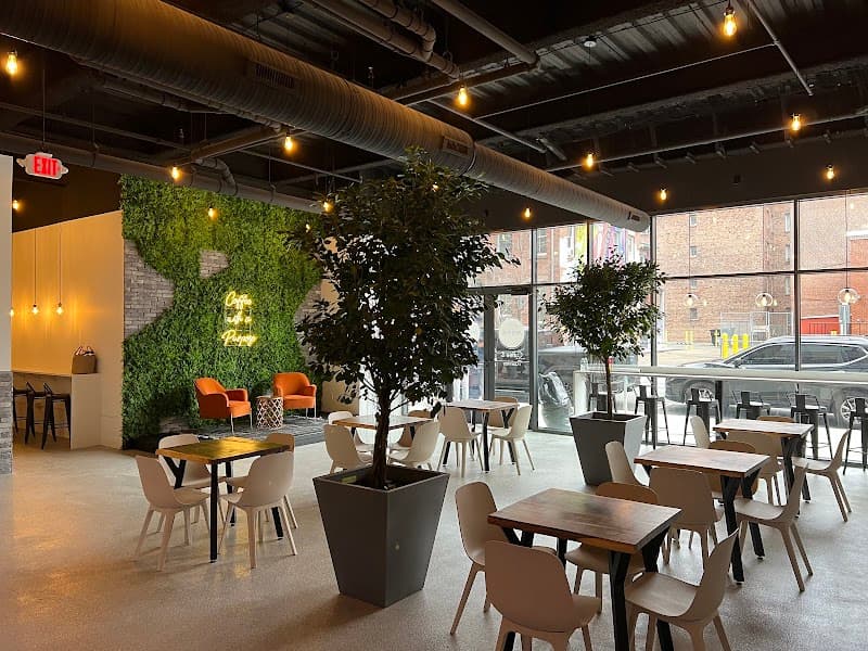 MOTW Coffee and Pastries in New Haven, specialty coffee cafe