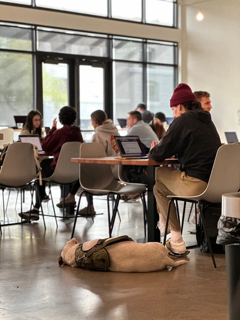 Moxie Coffee Co. in Phoenix, specialty coffee cafe