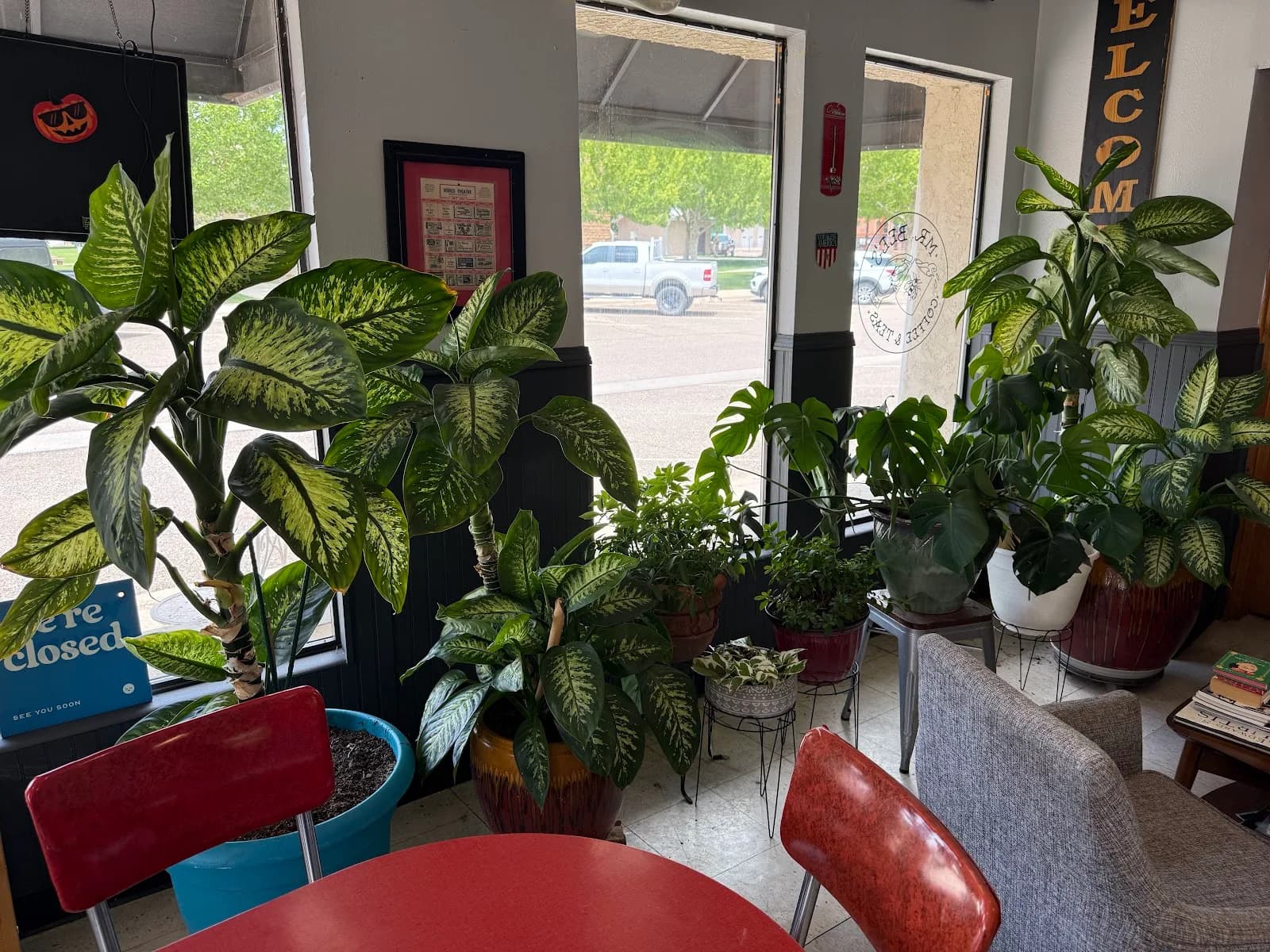 Mr. Bee's Coffee & Teas in Santa Rosa, specialty coffee cafe