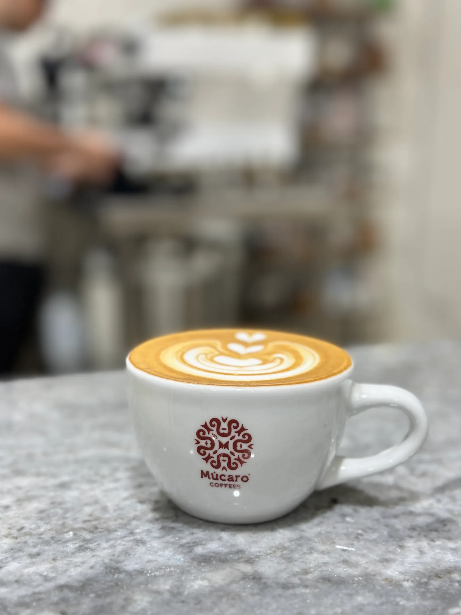 Múcaro Coffees in Miami, specialty coffee roaster