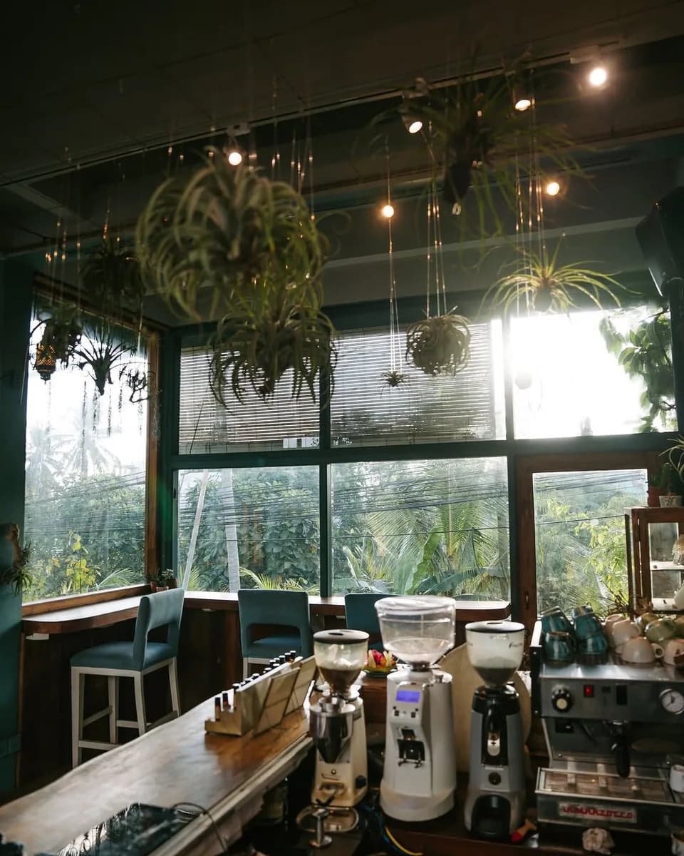 Muse Cafe & Art | Ubud in Ubud, specialty coffee cafe