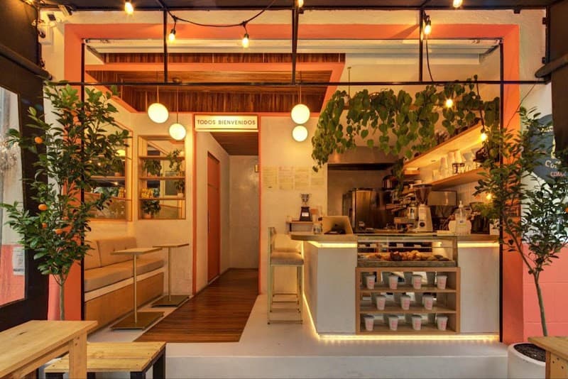 Nice Day Coffee in Mexico City, specialty coffee cafe