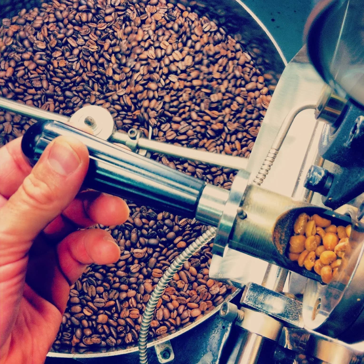 Noble Coyote Coffee Roasters in Dallas, specialty coffee roaster