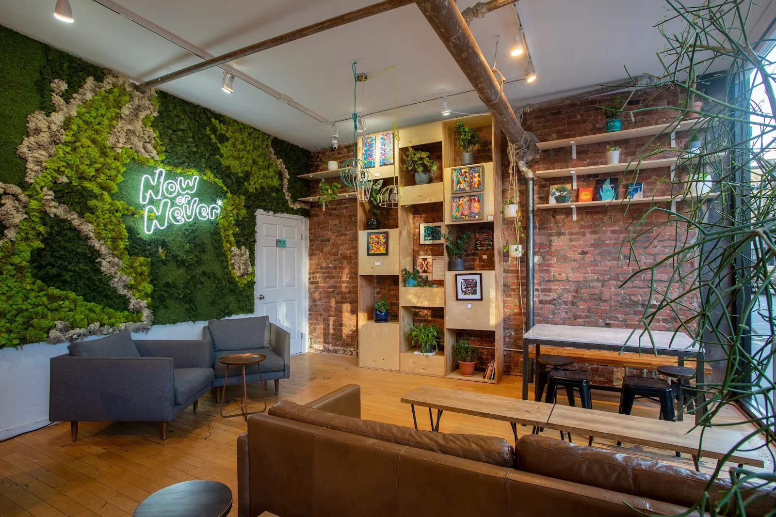 Now or Never Coffee in New York City, specialty coffee cafe