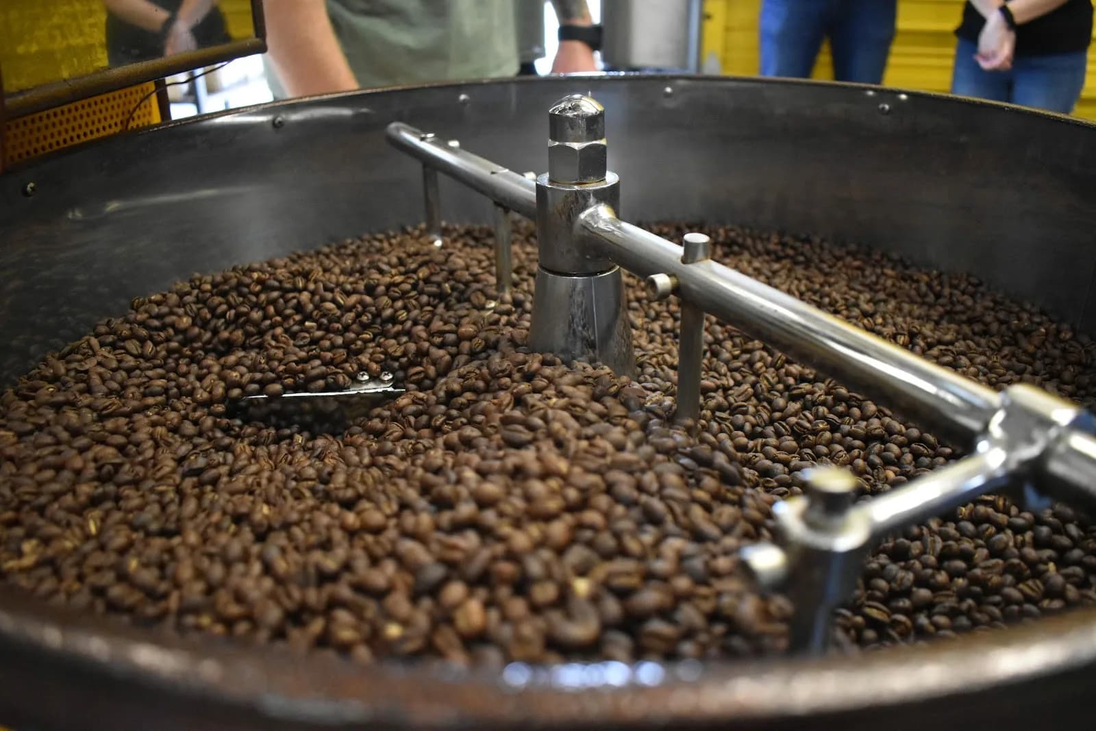 Oak City Coffee Roasters in Raleigh, specialty coffee roaster