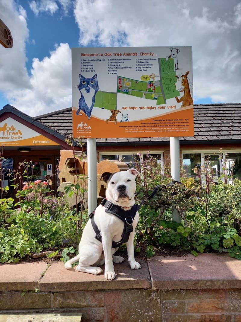 Oak Tree Animals' Charity in Wetheral, specialty coffee cafe