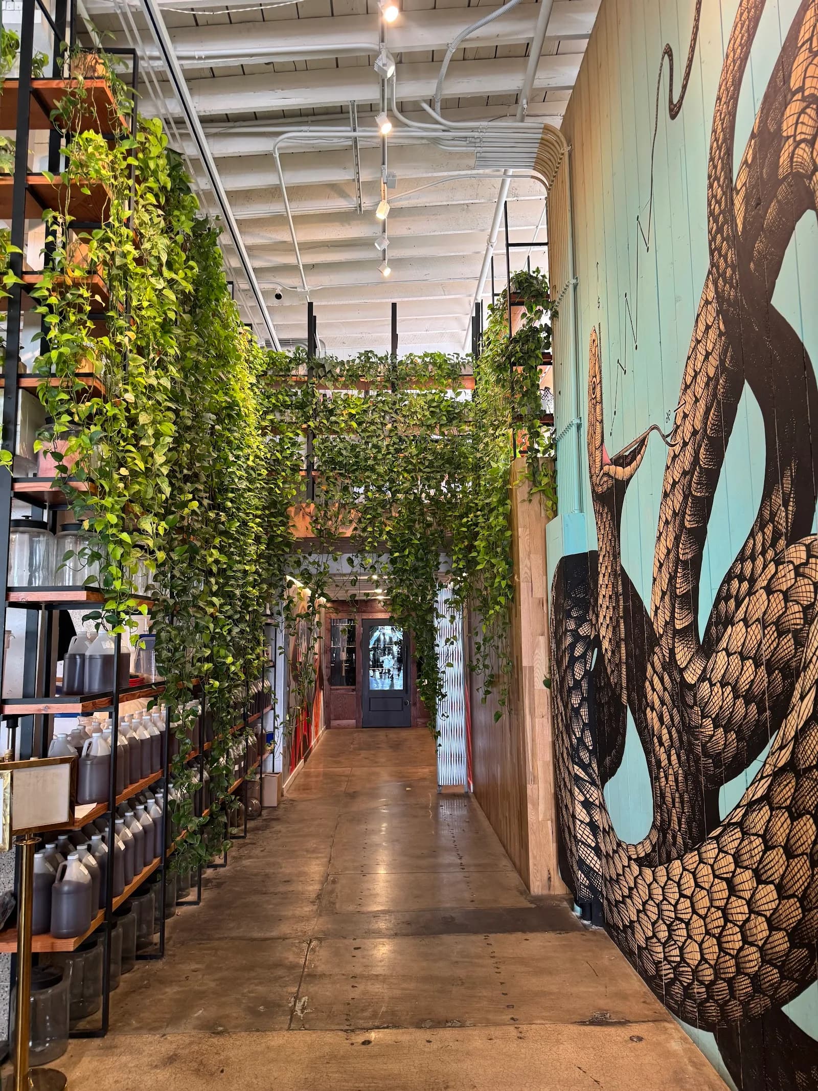 Onyx Coffee Lab in Rogers, specialty coffee roaster