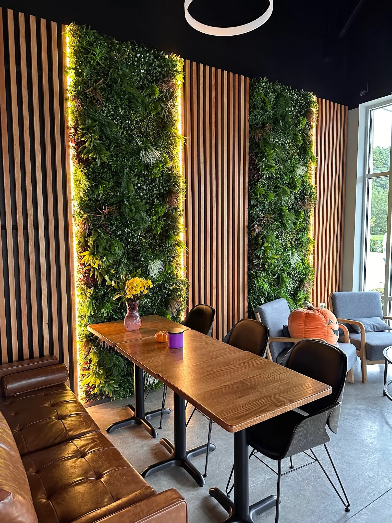 Operation Brew Coffee and Bakery in Virginia Beach, specialty coffee cafe