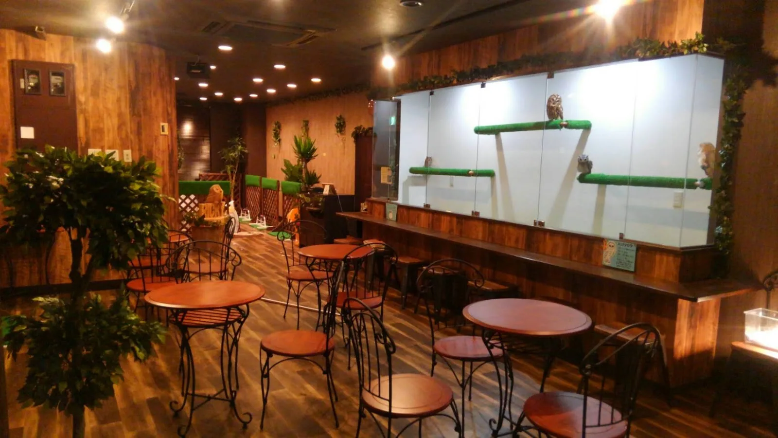 Owl Cafe Ricky in Sendai, specialty coffee cafe
