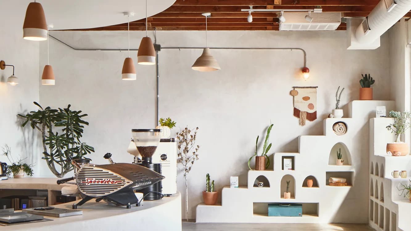 Palomino Coffee in Austin, specialty coffee cafe