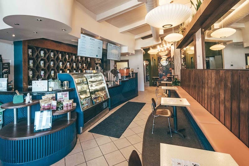 Pekoe in Boulder, specialty coffee cafe