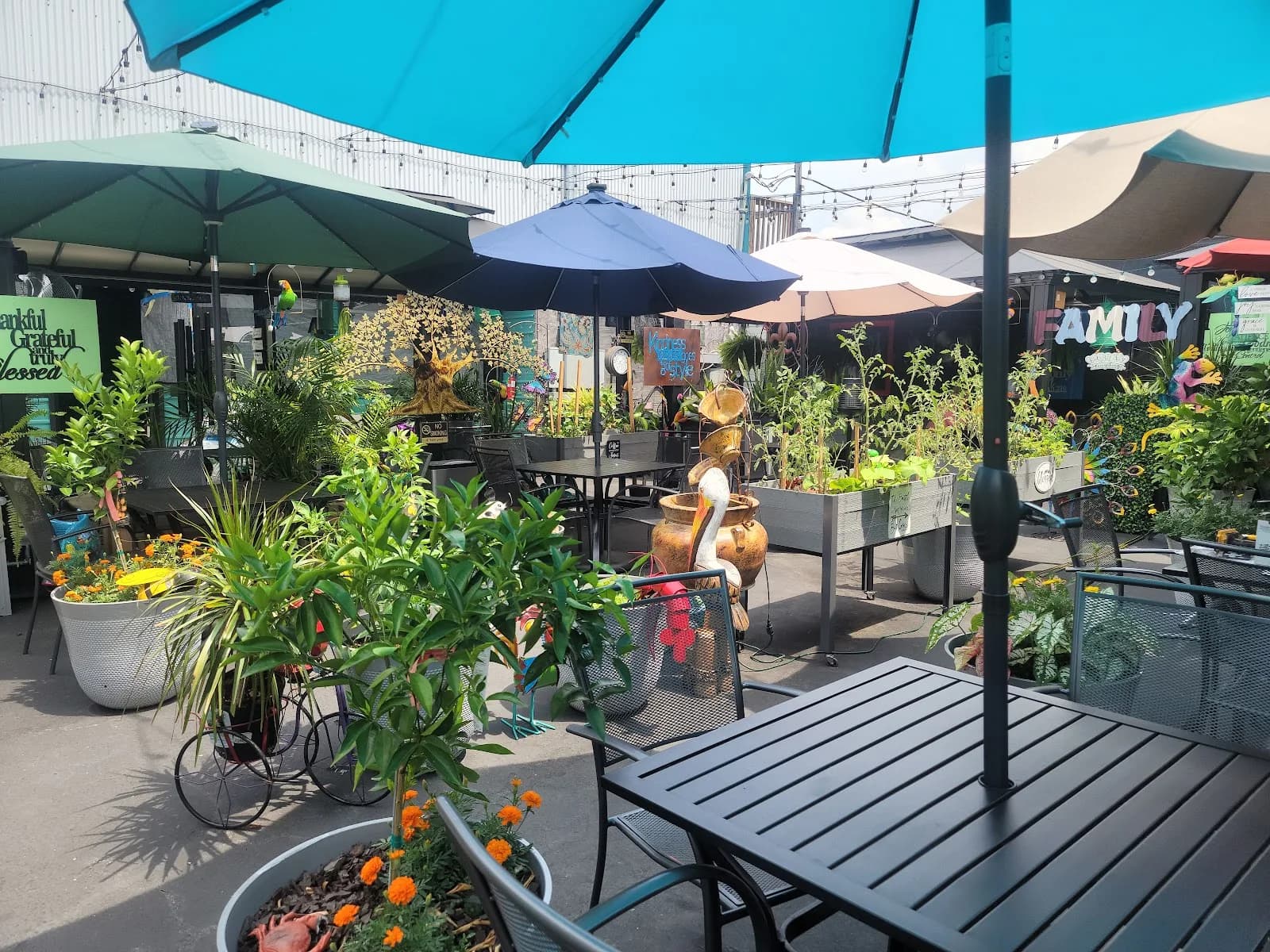 Pontilly Coffee in New Orleans, specialty coffee cafe