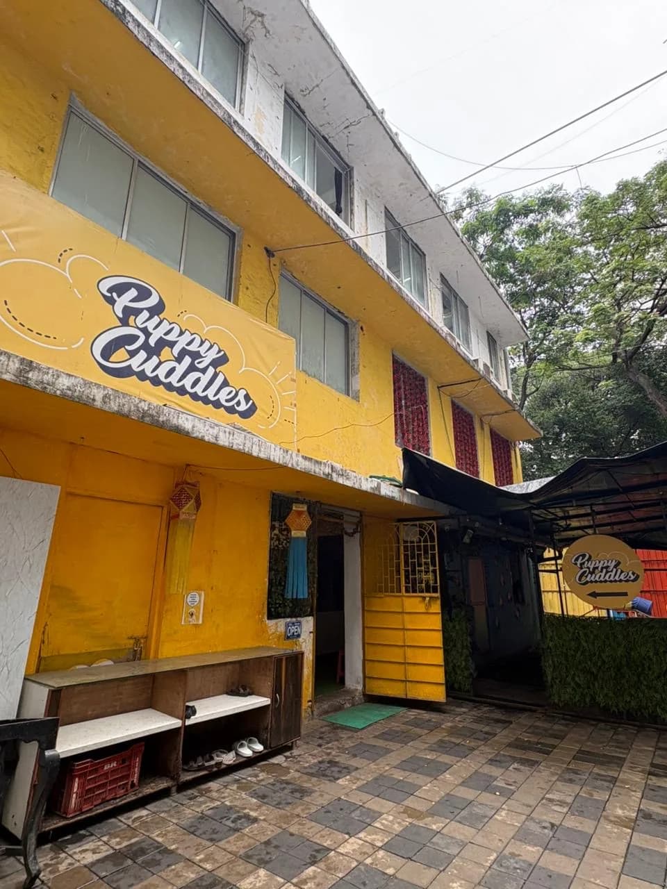 Puppy Cuddles Dog Café in Mumbai, specialty coffee cafe
