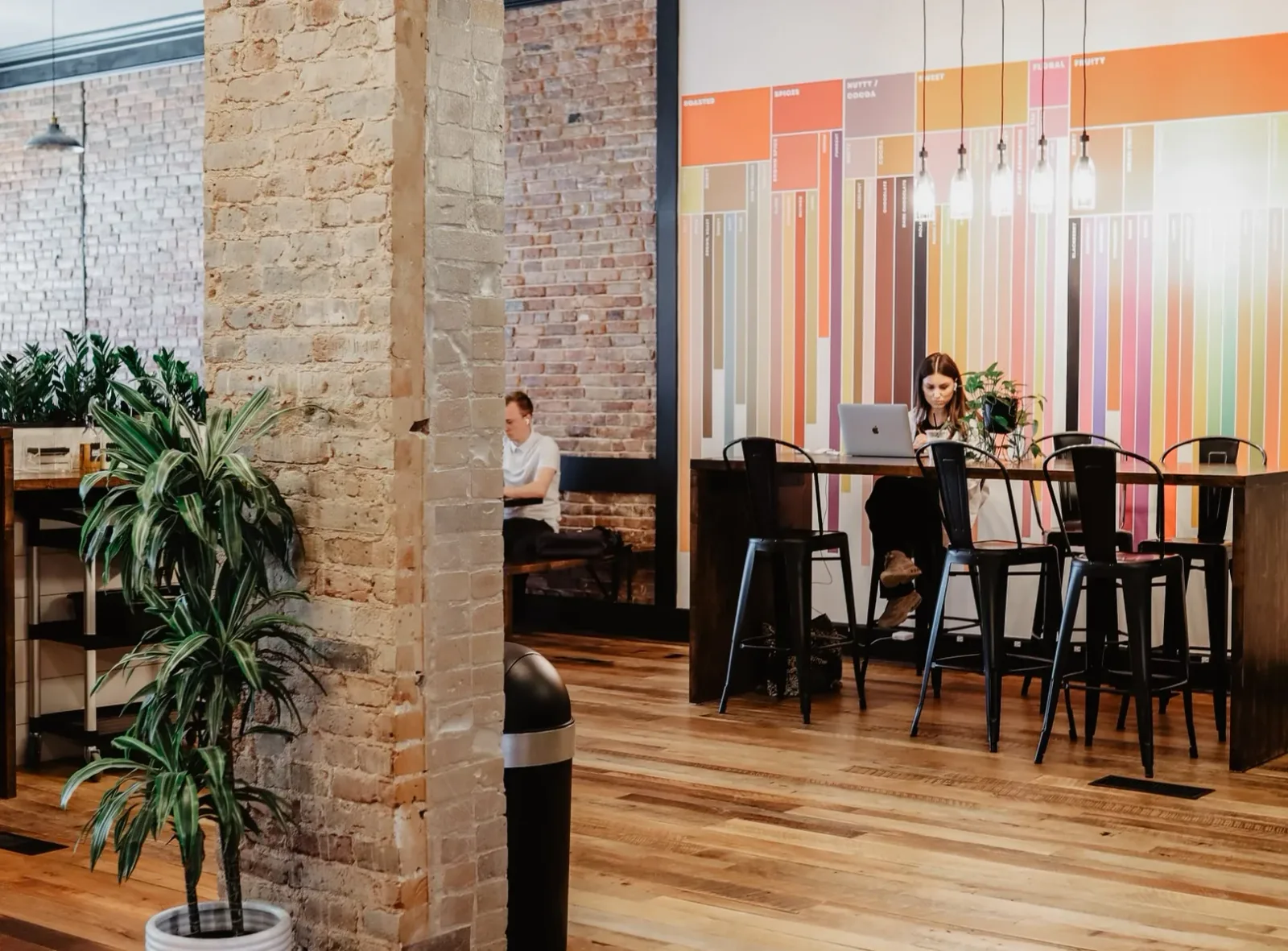 Purebred Coffee Co. in Dayton, specialty coffee roaster
