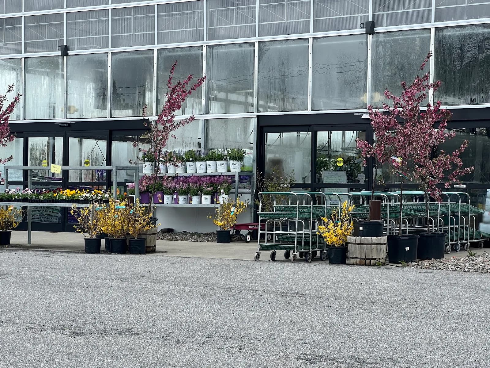 R Jones Nursery, Landscape Center & Butternut Farms Cafe in Rome, specialty coffee cafe