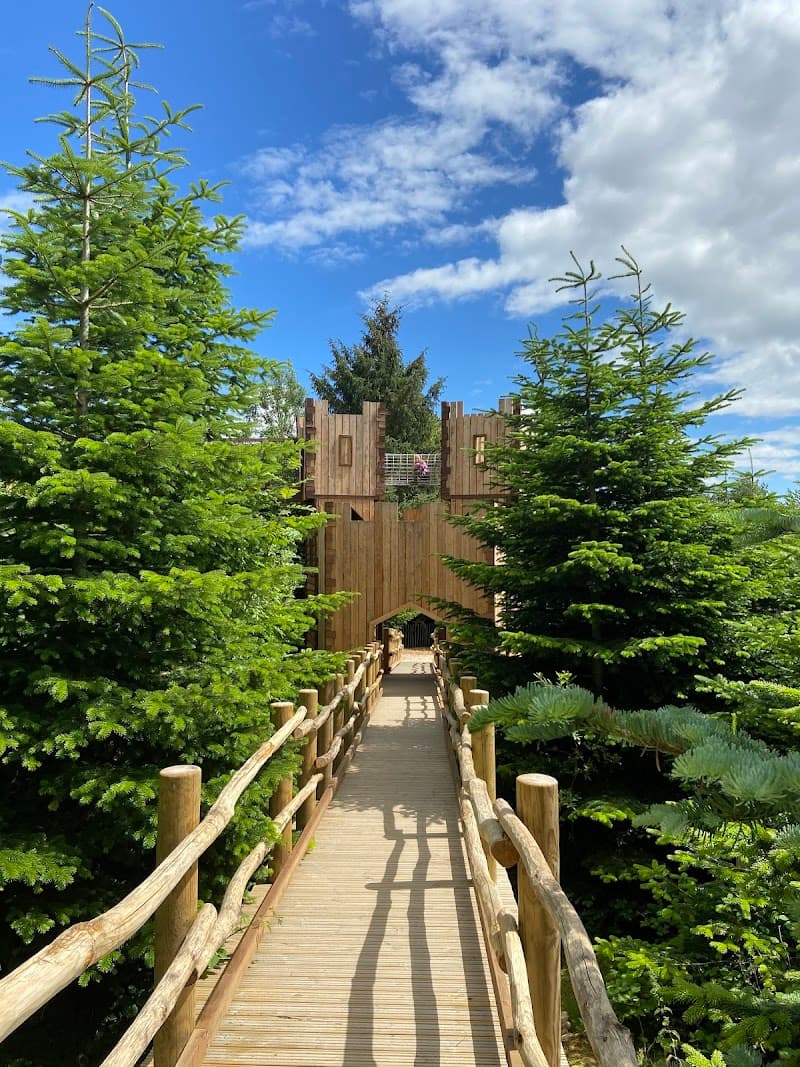 Raby Castle, Deer Park & The Plotters' Forest in Durham, specialty coffee cafe