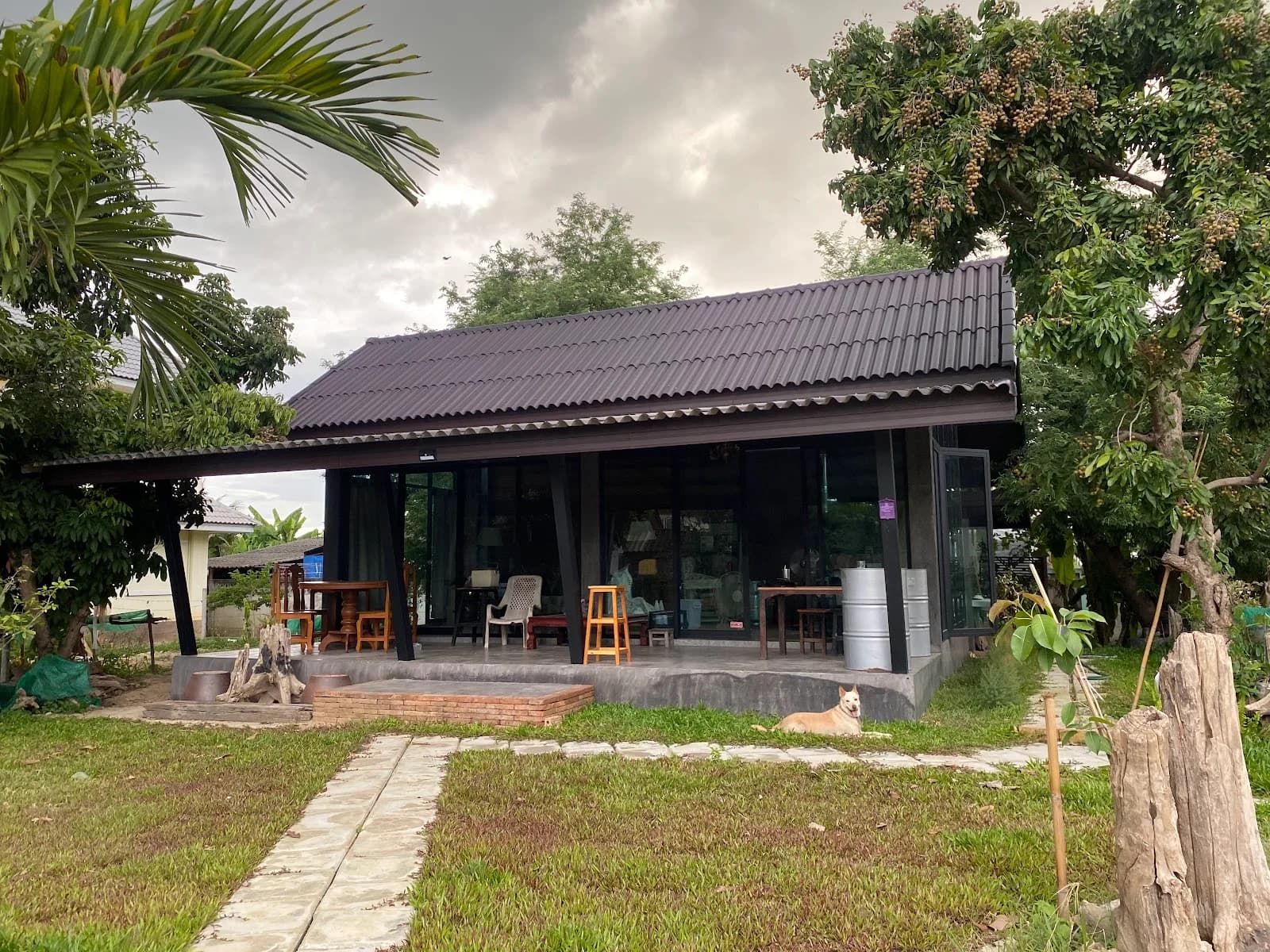 Roaster coffee by Kao in Chiang Mai, specialty coffee roaster