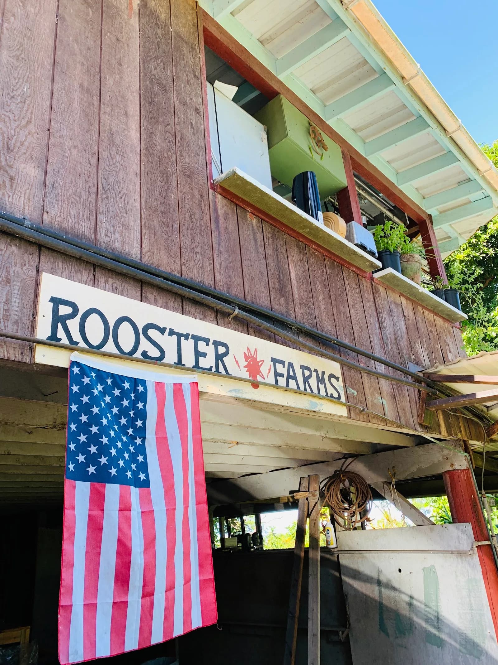 Rooster Farms Coffee in Honaunau-Napoopoo, specialty coffee roaster