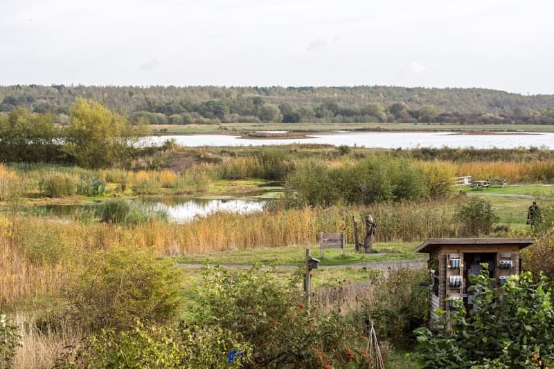RSPB Dearne Valley - Old Moor in Barnsley, specialty coffee cafe