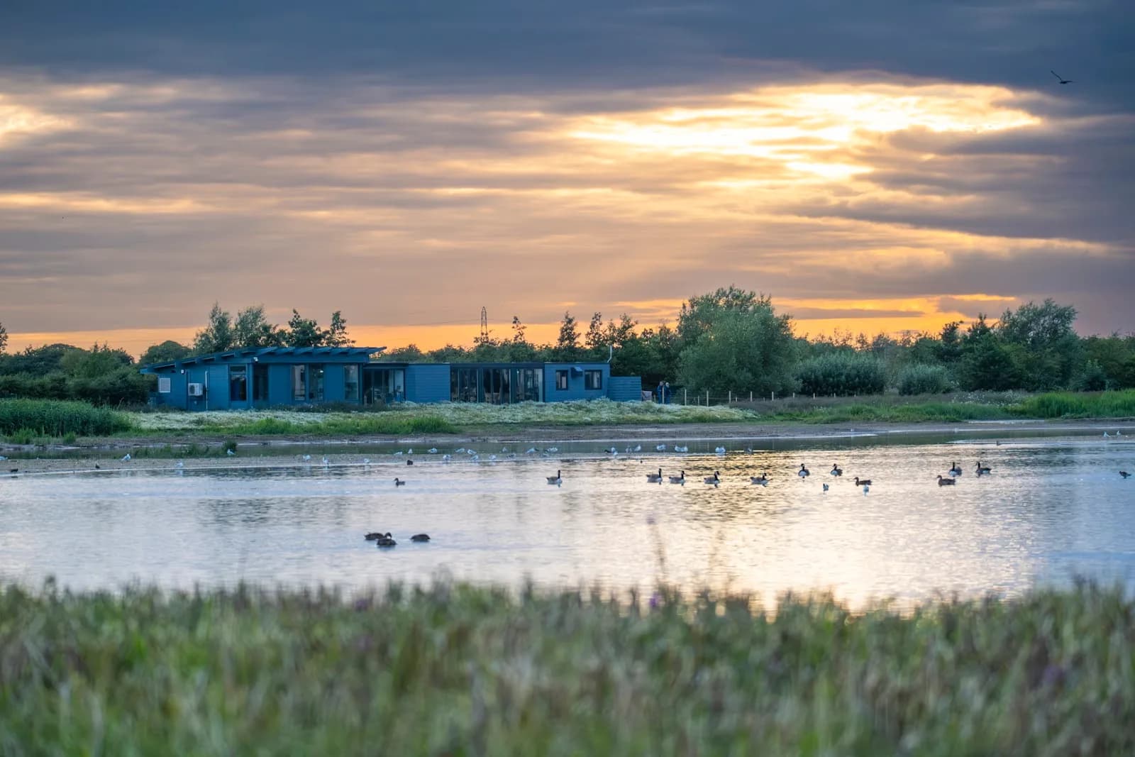 RSPB Frampton Marsh in Boston, specialty coffee cafe