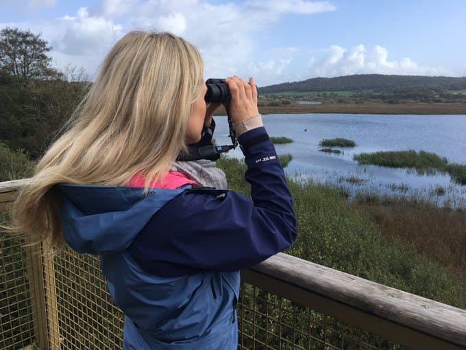 RSPB Leighton Moss in Lancaster, specialty coffee cafe