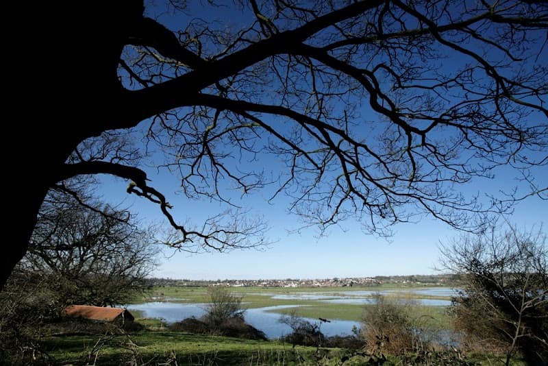 RSPB Pulborough Brooks in Horsham, specialty coffee cafe