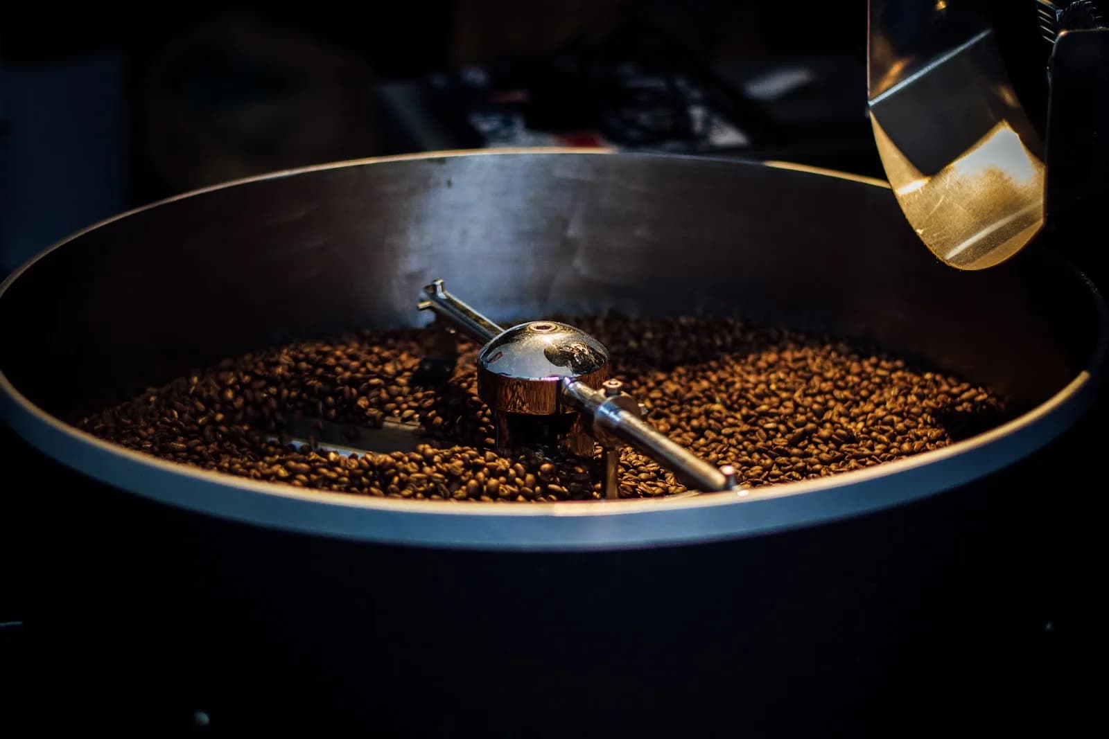 Senzu Coffee Roasters in Porto, specialty coffee roaster