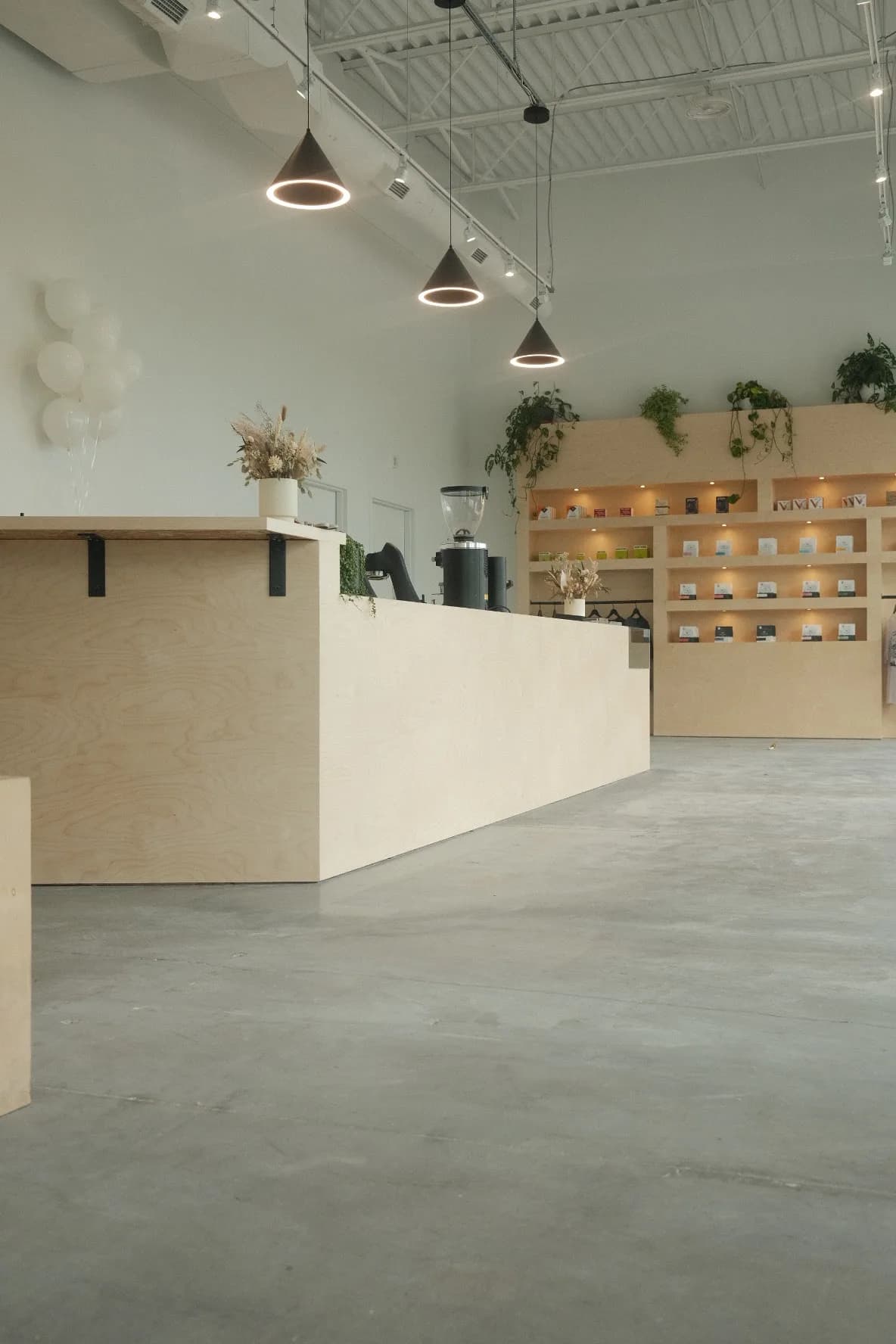 September Coffee Co in Gatineau, specialty coffee roaster