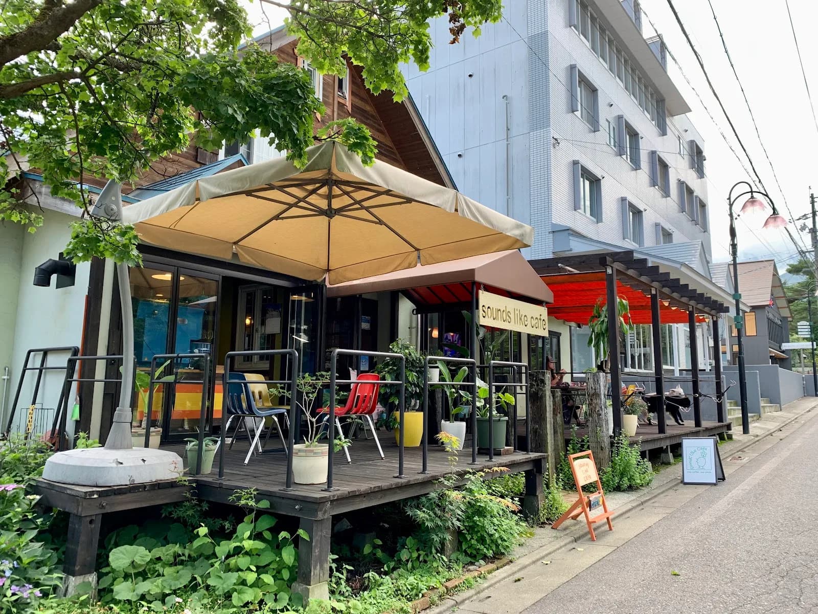 Sounds Like Café in Hakuba, specialty coffee cafe