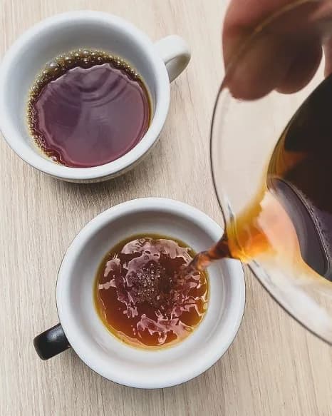 Studio Grão Coffee Roasters in Brasília, specialty coffee roaster