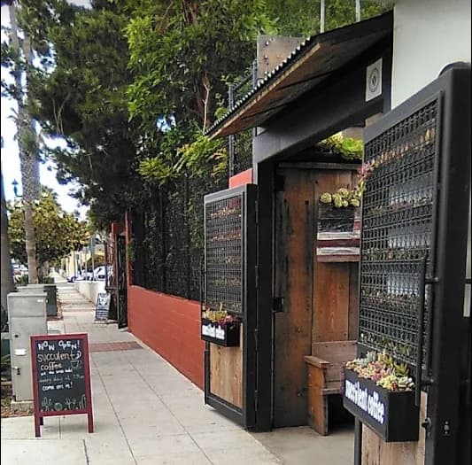 Succulent Coffee in San Diego, specialty coffee cafe