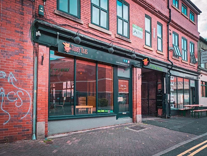 Tabby Teas in Sheffield, specialty coffee cafe