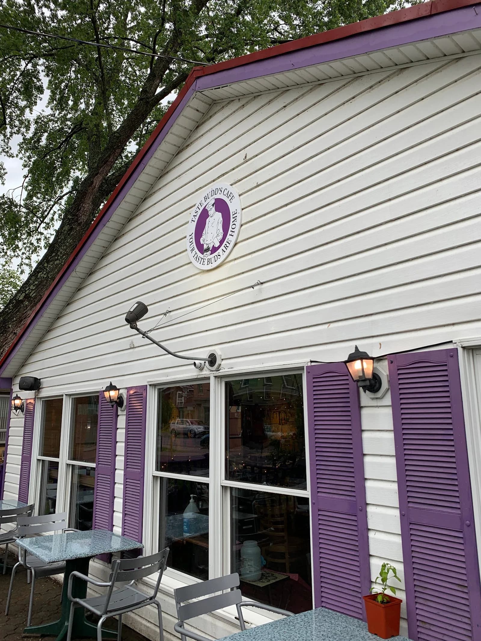 Taste Budd's Cafe in Red Hook, specialty coffee cafe
