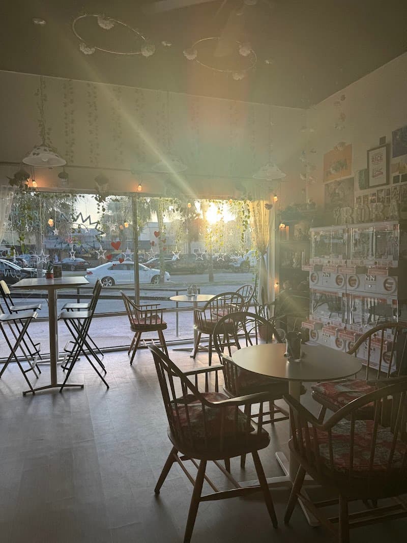 Teas Days in Sarasota, specialty coffee cafe