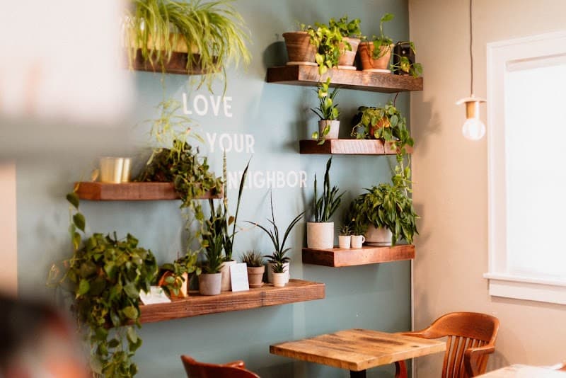 Teleo Coffee in St. Louis, specialty coffee cafe