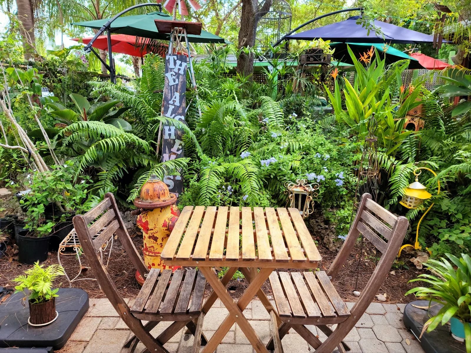 The Alchemist Café in Miami, specialty coffee cafe
