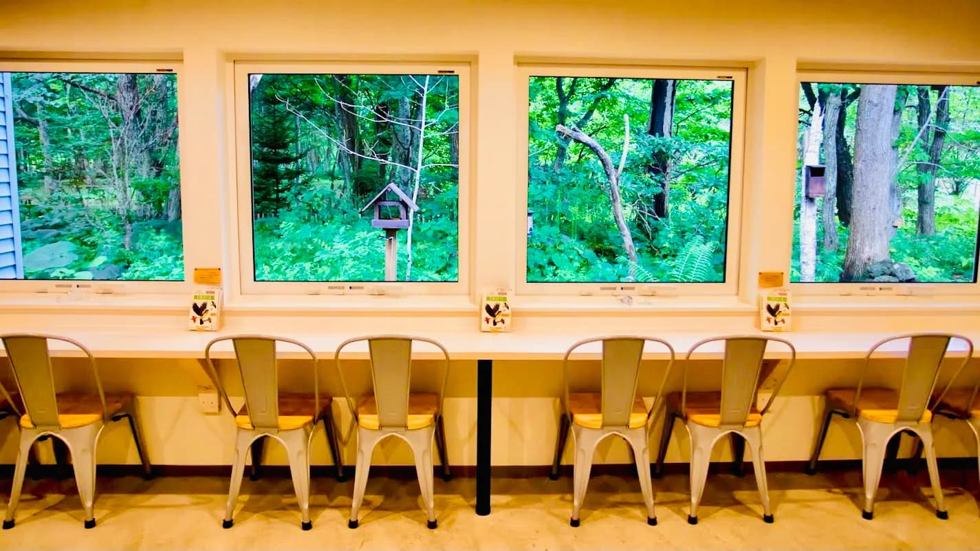The Bird Watching Cafe in Chitose, specialty coffee cafe