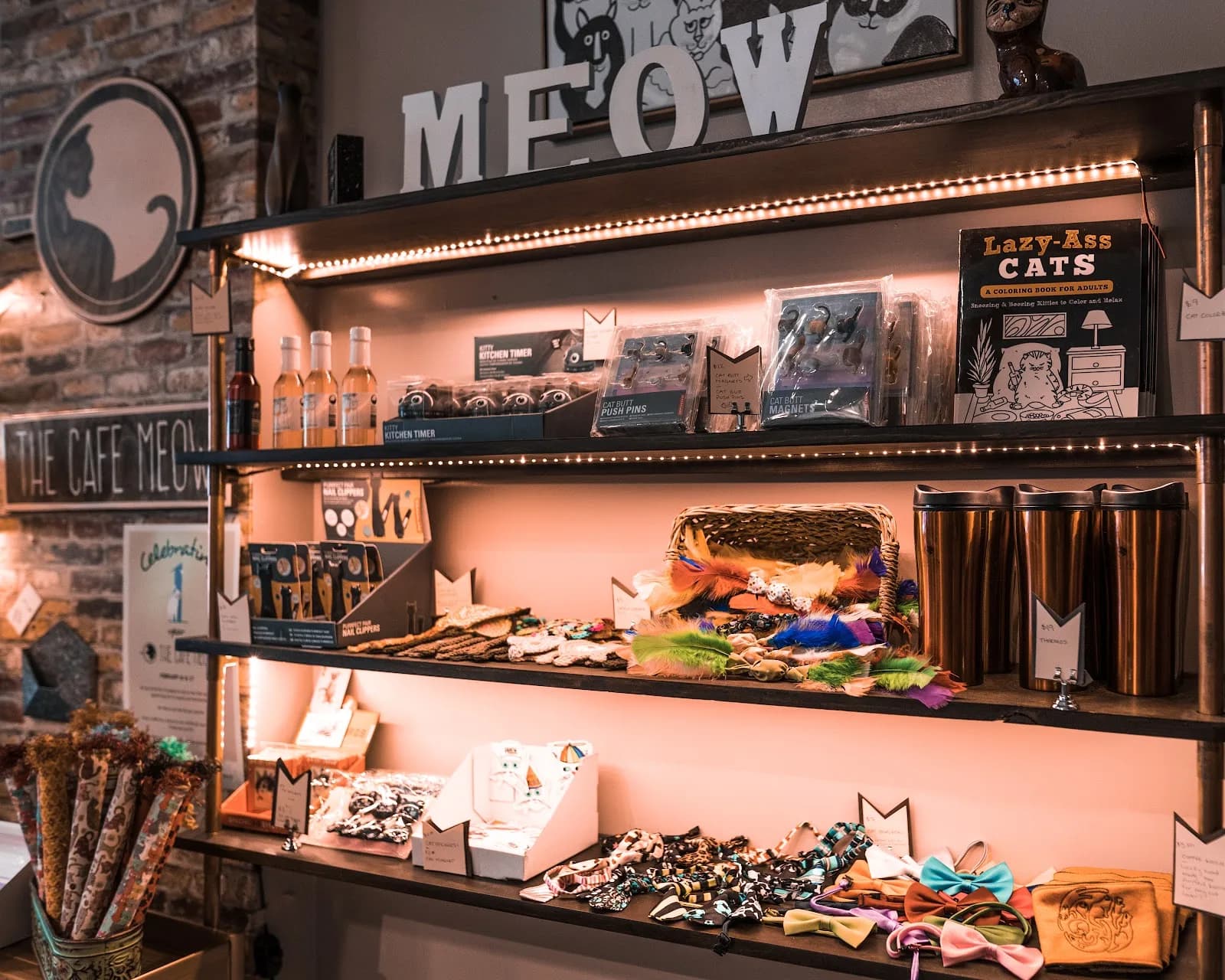 The Cafe Meow in Saint Paul, specialty coffee cafe