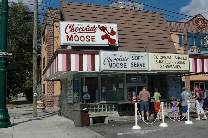 The Chocolate Moose in Bloomington, specialty coffee cafe