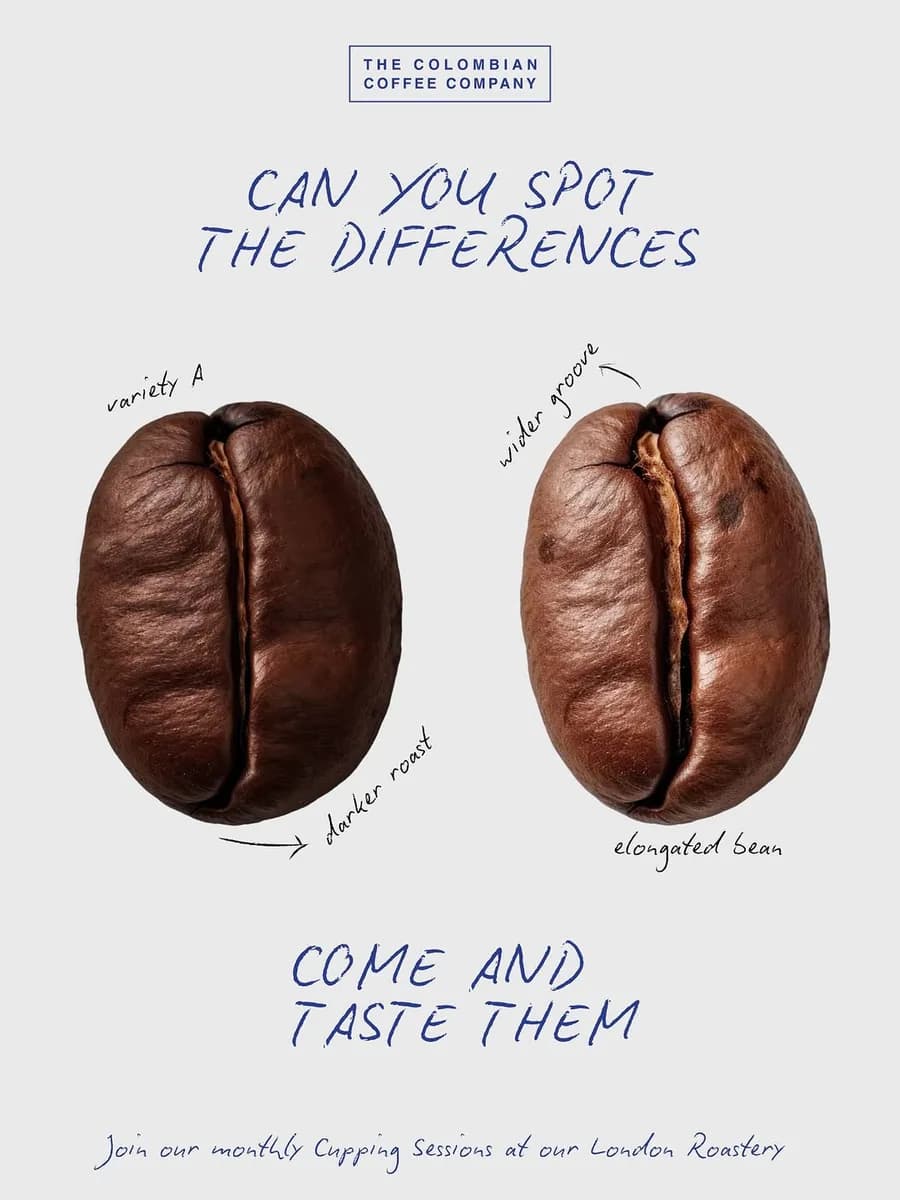 The Colombian Coffee Company | Borough Market in London, specialty coffee cafe