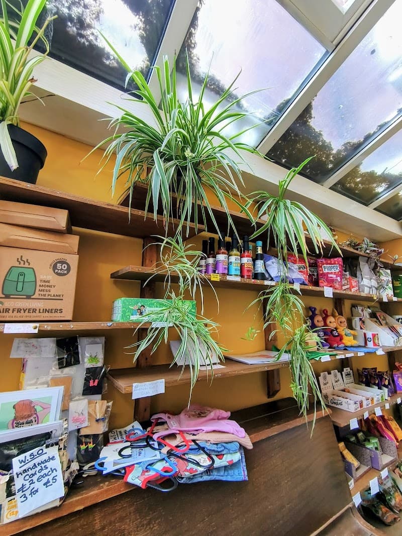 The Crocus Cafe in Nottingham, specialty coffee cafe