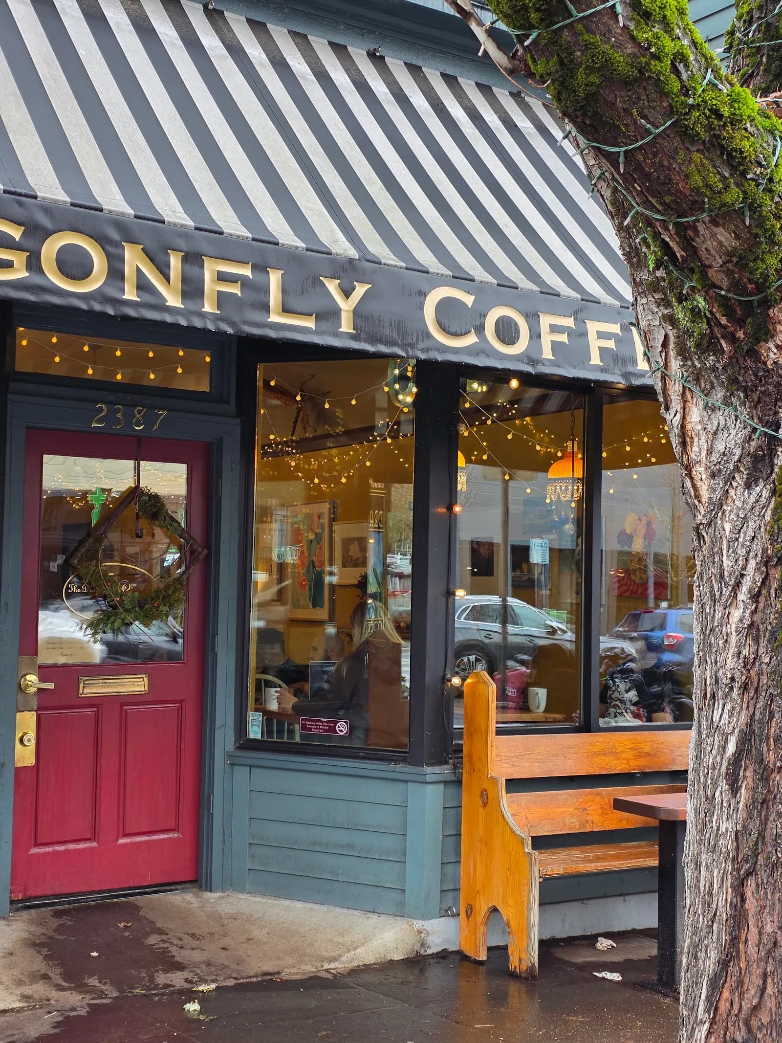 The Dragonfly Coffee House in Portland, specialty coffee cafe