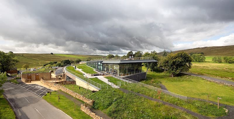 The Sill: National Landscape Discovery Centre in Hexham, specialty coffee cafe