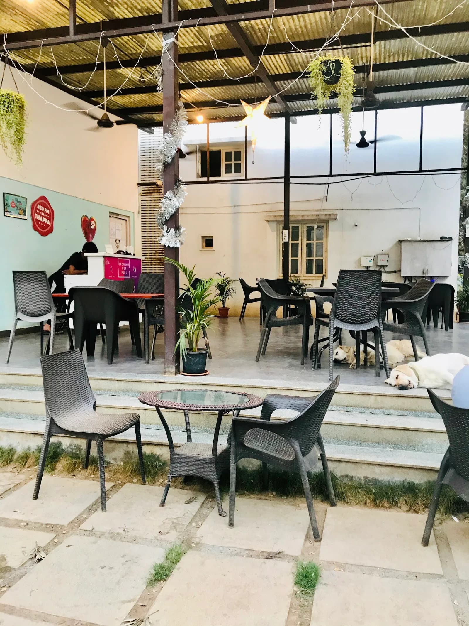 Therpup Dog Cafe in Bangalore, specialty coffee cafe