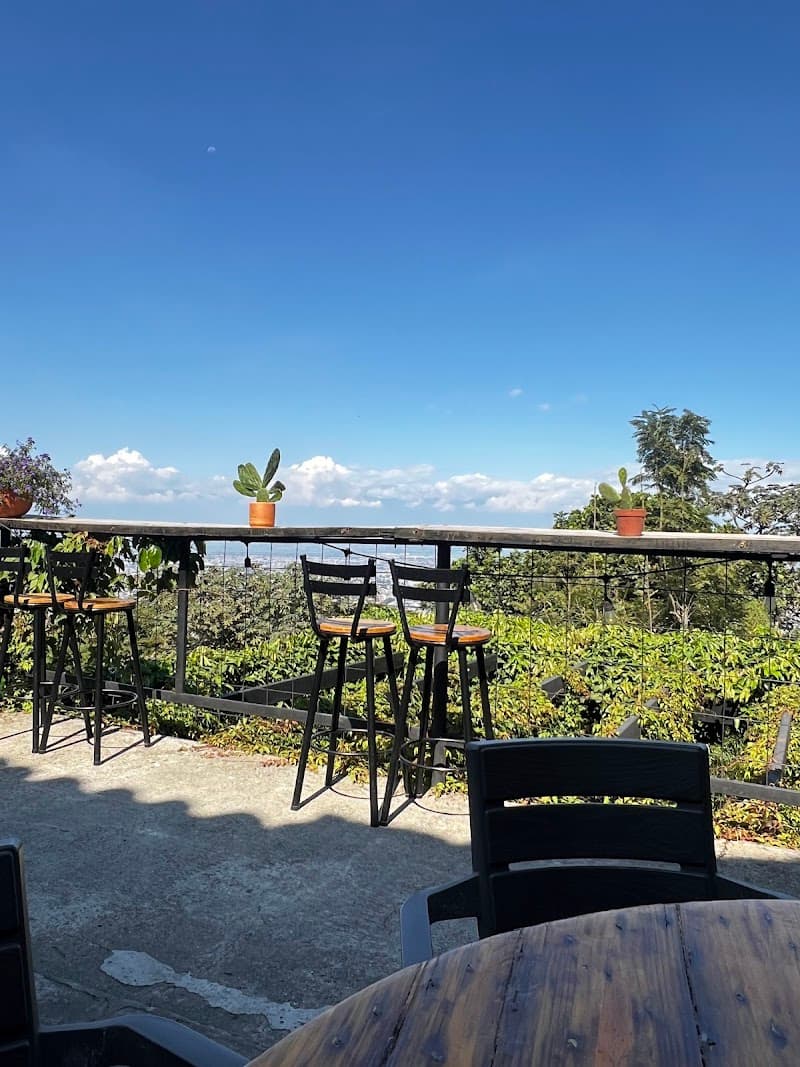Tierradentro Café & Co Las Lomas in Cali, specialty coffee cafe