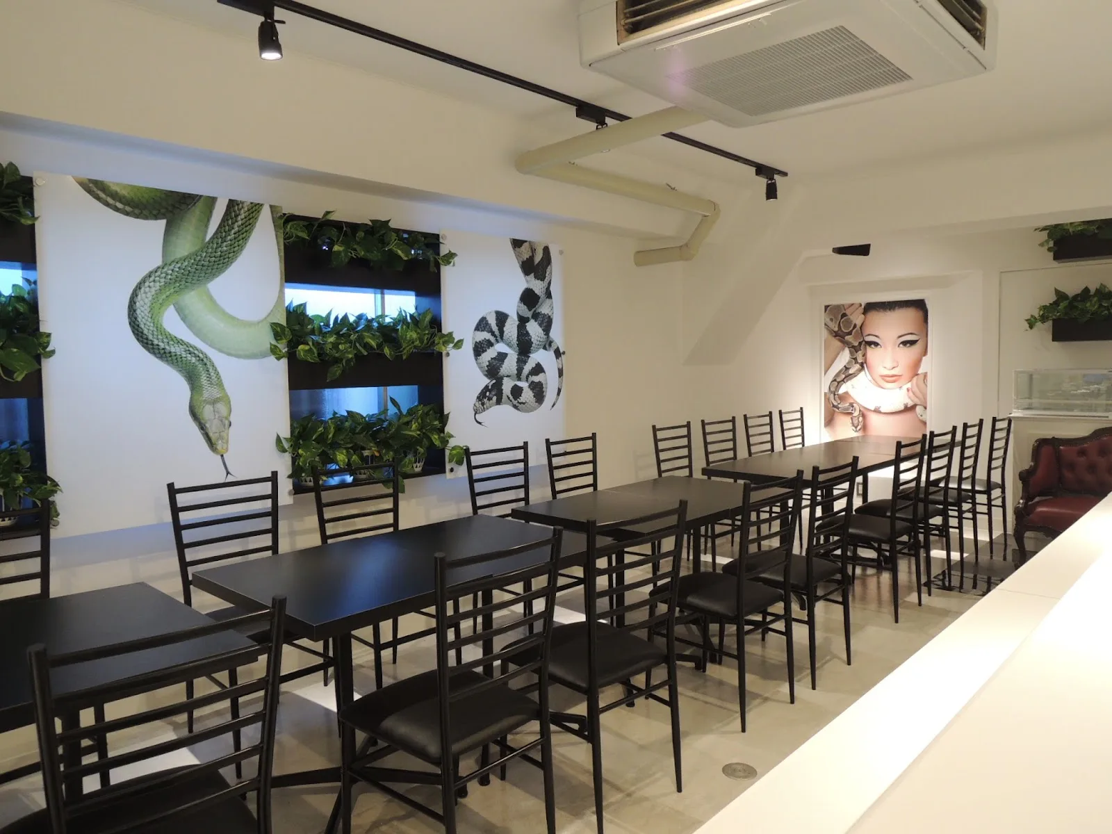 Tokyo Snake Centre in Tokyo, specialty coffee cafe