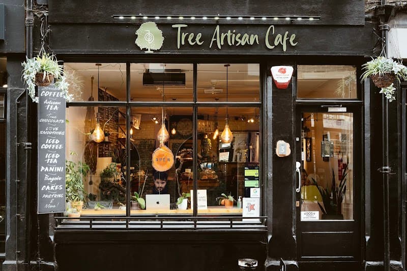 Tree Artisan Café in Oxford, specialty coffee cafe