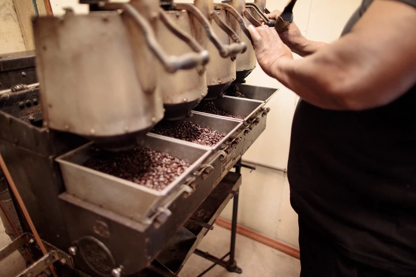 Try-Me Coffee Mills in New Orleans, specialty coffee roaster