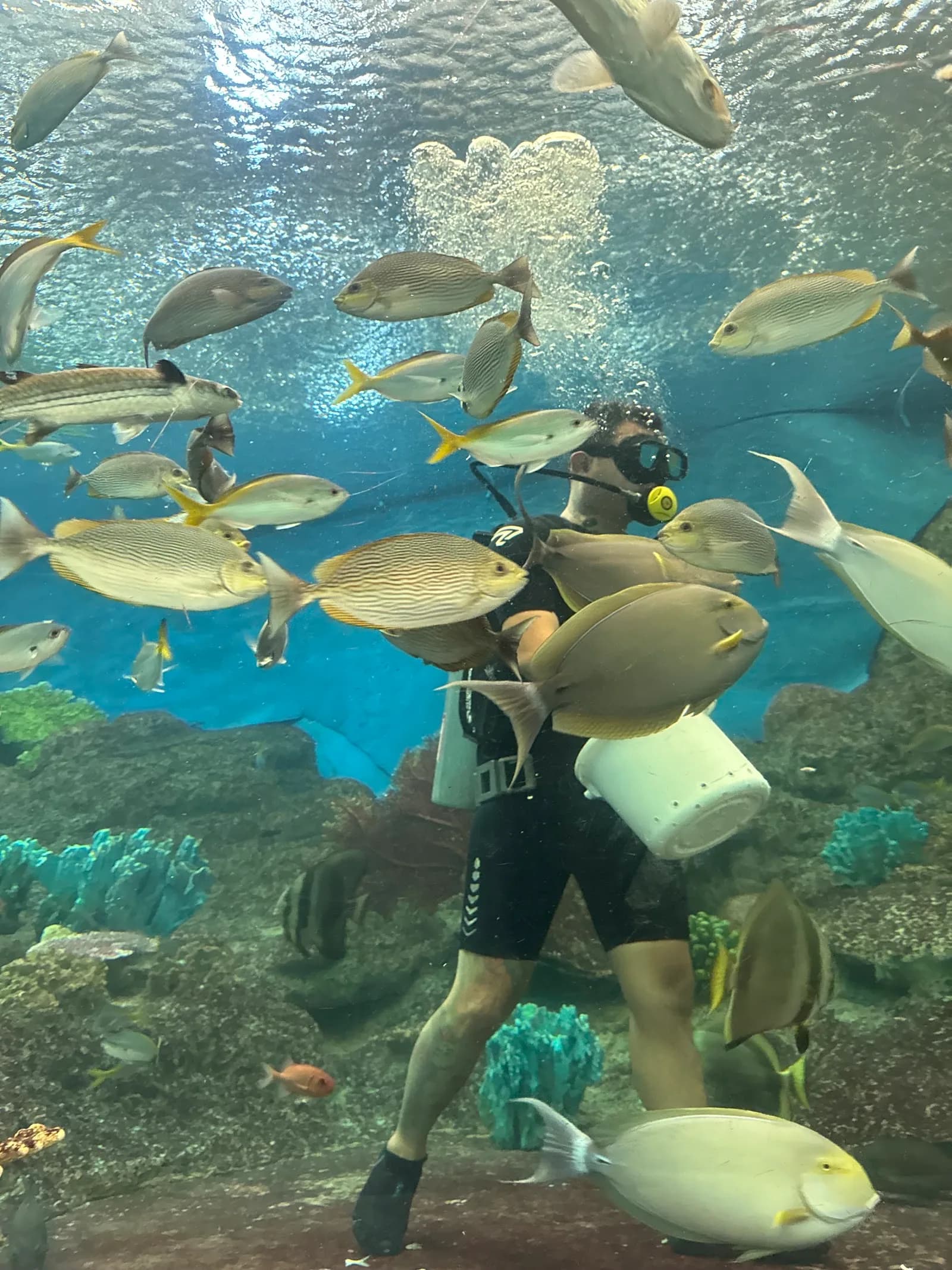 Underwater World Pattaya in Pattaya, specialty coffee cafe
